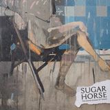 The Sugar Horse - The Grand Scheme Of Things (LP)
