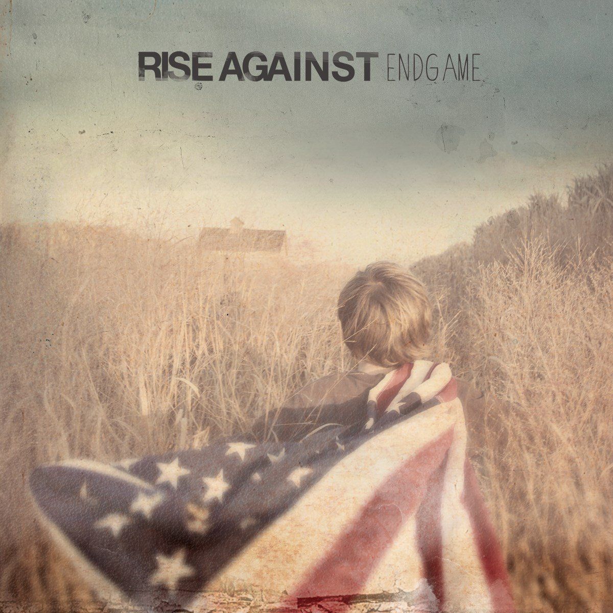 Endgame Rise Against - Endgame (180gr)