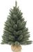 Triumph Tree Forest Frosted sapin de noël artificiel de table vert 30cm x 23cm