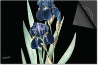 Dietrix Inductie beschermer 83x51,5 - Botanical - Viool blauw op zwart