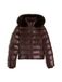 TOMMY HILFIGER Winterjas 'GLOSS' chocoladebruin