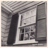 What Beach Fossils What A Pleasure (LP)