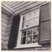 What Beach Fossils What A Pleasure (LP)