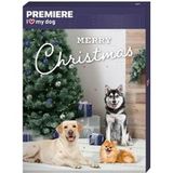 PREMIERE Adventskalender voor honden 300g