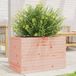 Prolenta Maison Exclusive - Jardinière en bois massif de Douglas, dimensions 70x40x45,5 cm