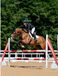 Lemieux Zadeldek Lemieux Loire Classic Square Close Contact Springen Wit