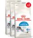 Royal Canin Indoor 27 - 3 x 2 kg