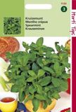 Hortitops Zaden - Kruizemunt