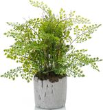 Emerald Kunstplant Varen - 28 cm - Groen - Kunststof