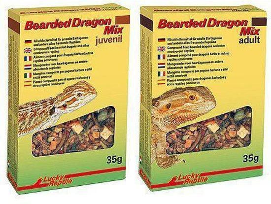 Lucky Reptile Bearded Dragon Mix Juvenil - 35 gr - Reptielenvoer