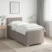 vidaXL Boxspringbed met matras met hoofdeinde Taupe 100 x 200 cm Stof
