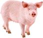 Schleich Farm World Varken, Maciora, 10 cm