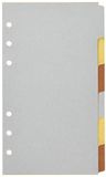 Persoonlijke Metallic 6 blanco tabbladen index