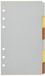 Persoonlijke Metallic 6 blanco tabbladen index