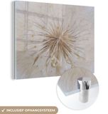 MuchoWow® Glass Painting 160x120 cm - Acrylic Glass Painting - Flowers - Dandelion - Design - Photo on Glass - Paintings