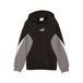 PUMA sweat à capuche Essentials avec blocs de couleur pour Hommes, Noir, Taille 13-14Y