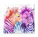 Homemania Wandfoto, zebra-dieren, voor woonkamer, slaapkamer, meerkleurig, 60 x 3 x 60 cm, HM20KNV60 x 60 – 183, polyester, hout