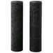 Katadyn Explorer 8021289, actieve-koolnavulling, 2 stuks