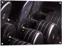 Merkloos / Sans marque Tuinposter - Foto van Rek Vol Dumbells in Sportschool - 80x60 cm - Kunststof - Zwart