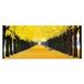 Homemania Afbeelding boom natuur en landschappen voor woonkamer, slaapkamer, meerkleurig, 70 x 3 x 100 cm, HM20KNV70 x 100 – 47, polyester, hout