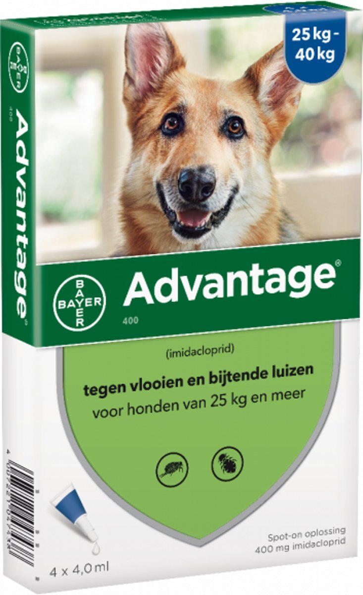 Advantage Hond 400