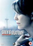 Disney Grey's Anatomy S11