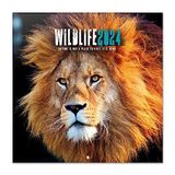 Grupo Erik Kalender 2024 Wildlife