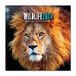 Grupo Erik Kalender 2024 Wildlife