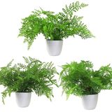 Leaf Design UK Kunstmatige realistische kamerplanten in pot, 30 cm