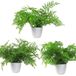 Leaf Design UK Kunstmatige realistische kamerplanten in pot, 30 cm