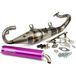 Yasuni Pot d'échappement R-Pro Peugeot Ludix AC Violet