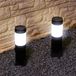 RexTech Solar tuinverlichting priklamp Lucifer zwart - Padverlichting op zonne-energie - Set van 2 buitenlampen