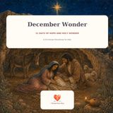 December Wonder: 31 Days of Hope and Holy Wonder: A Christmas Devotional for Kids