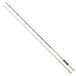 Daiwa Procaster Canne à pêche pour truite de mer Verte 3,00 m / 10-50 g