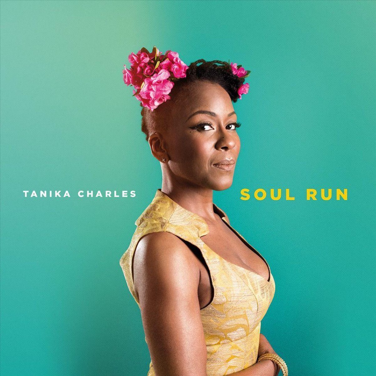 Sonic Charles Tanika - Soul Run