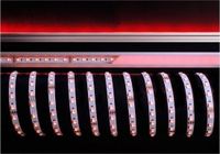 KapegoLED Bandeau LED flexible, 5050-60-24V-RGB+3000K-5m, RVB + blanc chaud, tension constante, 24V CC, 70W, 5m