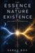 The Essence and Nature of Existence: One Simple Perspective