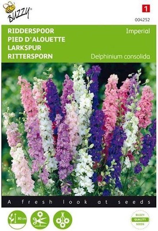 Buzzy PIETERPIK RETAIL B.V. Ridderspoor Imperial - Delphinium consolida