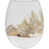 Cedo Shell Toilet Seat