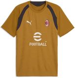 PUMA Training shirt AC Milan 2026/27 Authentic Gold Polyester L