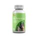 ARTENNUA 90 capsules
