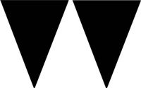 Merkloos / Sans marque Espa Nv 3x stuks zwarte vlaggetjes slingers/vlaggenlijnen van 5 meter