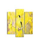 Homemania Wandafbeelding, vogels, 3-delig, dieren, woonkamer, slaapkamer, meerkleurig, 57 x 0,3 x 60 cm, HM203MDF280, MDF