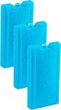 Plasticforte Koelelementen - 6x stuks - 500 grams - 20 x 10 cm - blauw - kunststof