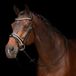 HV Polo Hoofdstellen HV Polo Legacy deluxe Zwart/Wit Leer Full