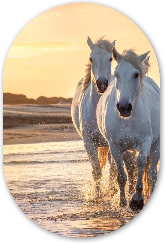 MuchoWow Muurovaal - Ovalen Wanddecoratie - Paarden - Water - Strand - 80x120 cm