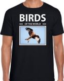 Bellatio Decorations Shoppartners Bv Dieren foto sweater Rode wouw - zwart - heren - birds of the world - cadeau trui roofvogel liefhebber XXL