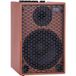 Acus ONE-10F One For Strings 10 Ferdi 250W Natural amplificateur de guitare acoustique
