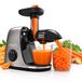Fentic Slowjuicer - Juicer - Groenten en Fruitpers - 700ml - Antraciet