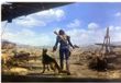 Bethesda DEVplus Fallout 4 Art Print Neighborhood Patrol 30 x 40 cm - unframed Poster & Wallscrolls
